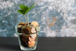 Duurzaam geld