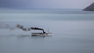 Schip rook
