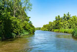 Shutterstock 1630472164 Biesbosch Dordrecht