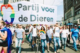 Pridewalk lhbt lhbti pride walk