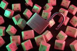 Fly d 63 Sg6s3 Eoc E unsplash 1