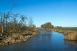 Biesbosch natuur water