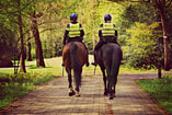 Politie te paard