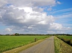 Buitengebied landschap weiland