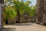 Frans koning C Rjx D30vjd0 unsplash Erfgoed web