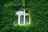 Wonen en bouwen