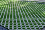 Groene parkeerplaatsen