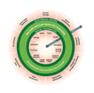 Donut economics model
