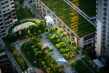 Groen dak Photo by CHUTTERSNAP on Unsplash