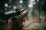 Jacht bandejacht partijvoordedieren drenthe