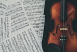 Muziek cultuur drenthe pvdd
