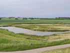 Natuur naast akker