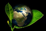 Aarde planeet blad