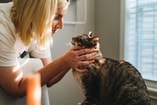 Dierenarts anicura pvdd partij voor de dieren