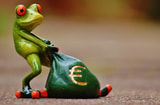 Frog 1234781 1920