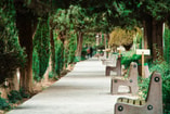 Groen Straat