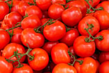 tomaten groente fruit eten gezond gif landbouwgif