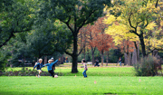 Parken Amsterdam