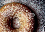 Donut