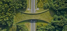 Ecoductos