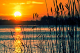Meer zon riet Pixabay