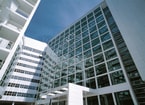 Stadhuis Den haag