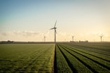 Peter beukema Oov Efu Iw BOM unsplash Windturbine Polder web