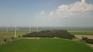 DJI 0079