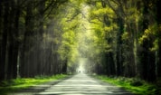 Bos gravenallee Almelo