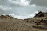 Duinen Hoek van Holland