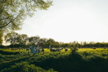 Kira laktionov Viht Yw FT0 J4 unsplash