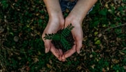 Noah buscher x8 Z Stuk S2 PM unsplash
