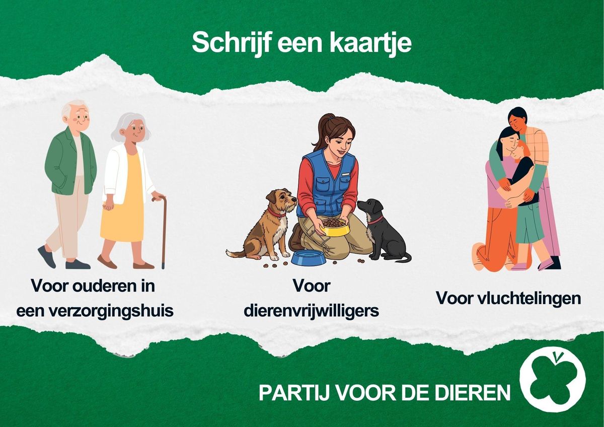 Schrijf een kaartje voor ouderen in een verzorgingshuis, voor dierenvrijwilligers of voor vluchtelingen.
