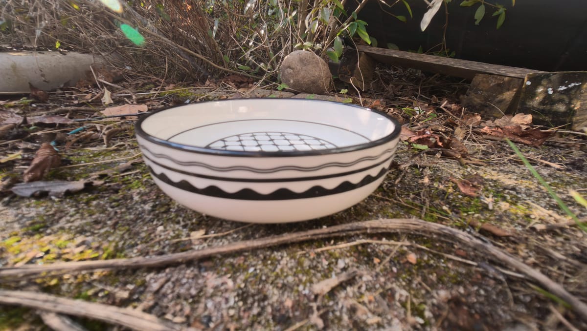 Foto van een ondiep schaaltje water in een tuin