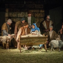 Levende kerststal
