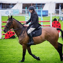 Paardensport