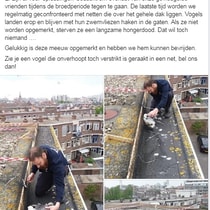 Bericht dierenambulnace