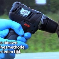 Eikenprocessierups