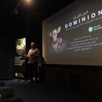 Vertoning Dominion Beirut