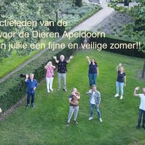 Fijne zomer 2020