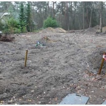 Foto Kaalslag Hoge Bergweg Beekbergen