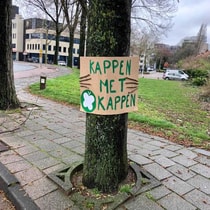 Bomenkapschutterseld2