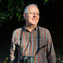 Dickde Vos vierkant