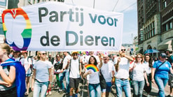 Pridewalk pvdd 55