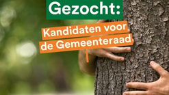 Gemeenteraadsverkiezingen