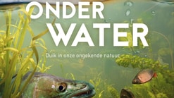Poster Nederland onder water