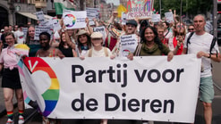 Pride Walk 2025 Pvd D 84 by Isabell Janssen Outsider i