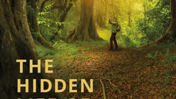 The Hidden Life of Trees