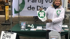 Markt29