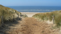Strandafgang